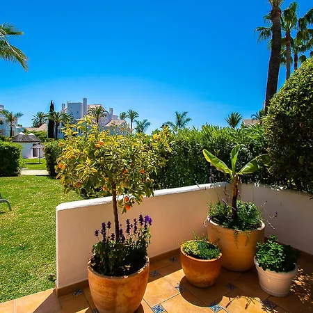 Apartment Oleholidays Palm 6 *